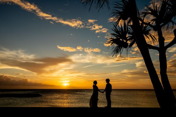 Dears Wedding RESORT