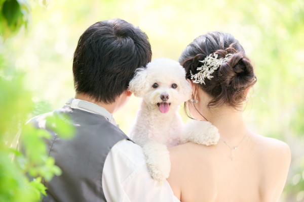 サロンドパルール　salon de parure