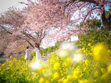 【アンシャンテ】愛が花咲く河津桜の下、永遠を誓うフォトウエディング。客室露天付き温泉旅館「桐のかほり咲楽」で心温まる思い出を