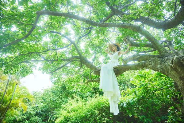 Dears Wedding RESORT