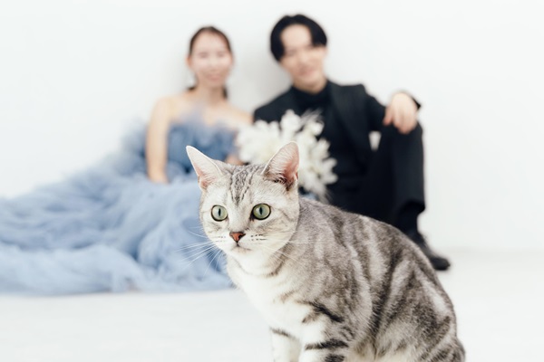 Circles Wedding　Photo＆Movie