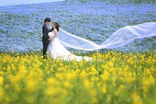 ル・トレフル produced by スタジオエス