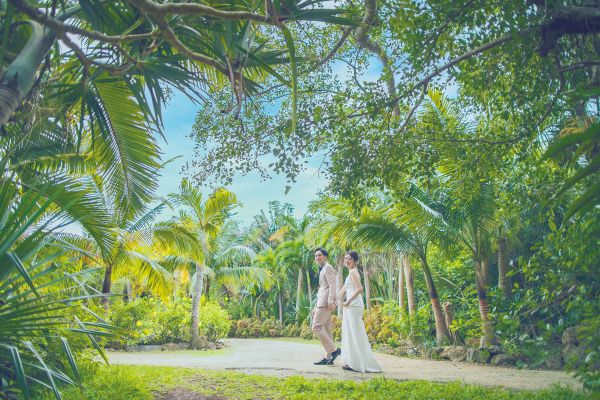 Dears Wedding RESORT