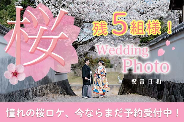 今ならまだ間に合う！桜と一緒に前撮りしませんか？