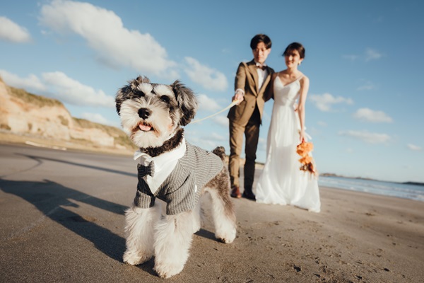 Circles Wedding　Photo＆Movie