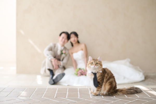 サロンドパルール　salon de parure