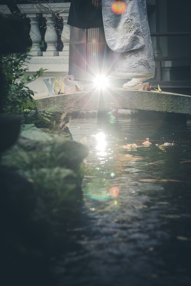 百花籠_投稿写真