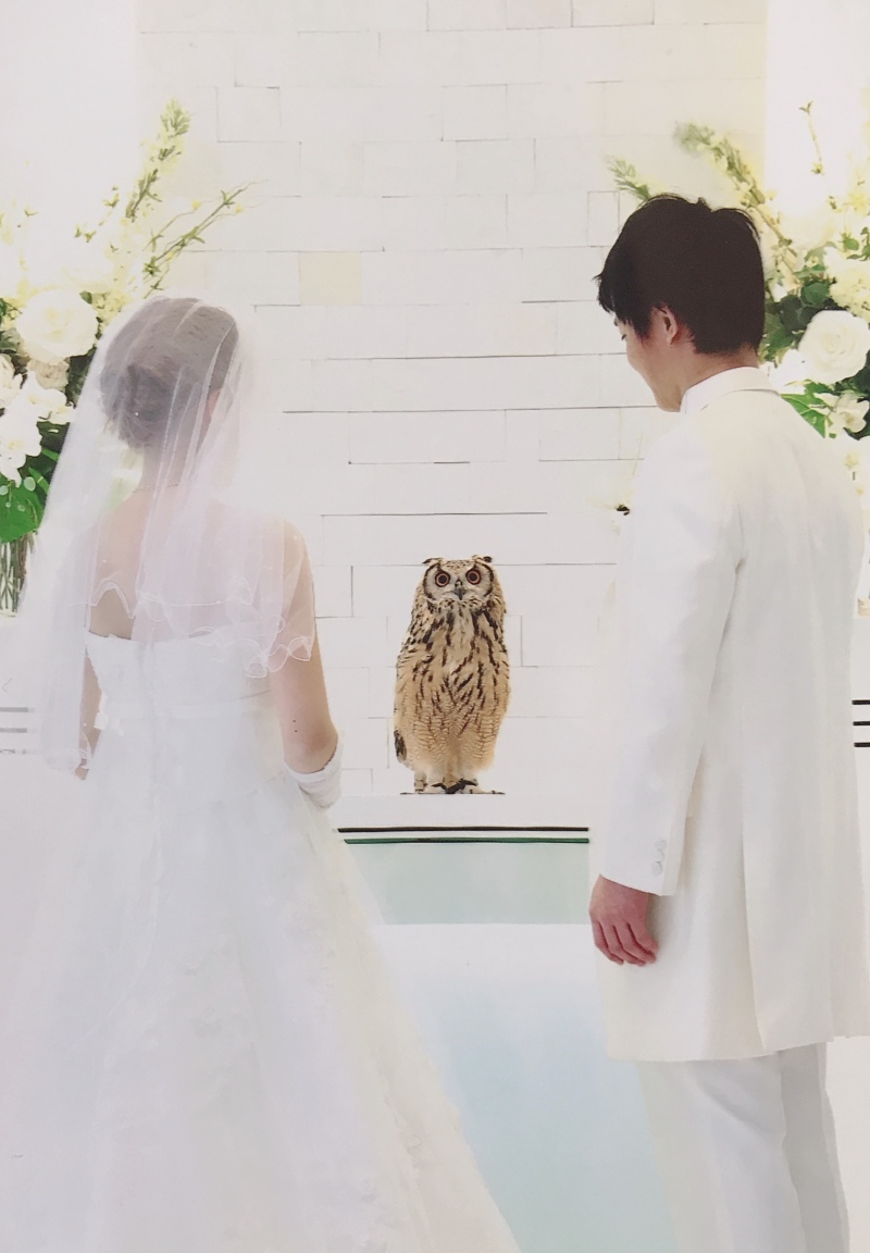 スタッフの方達の対応がとても素敵でした。_159_投稿写真_1