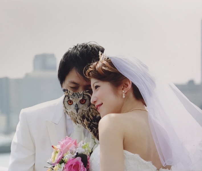 フォトなびBBH_投稿写真