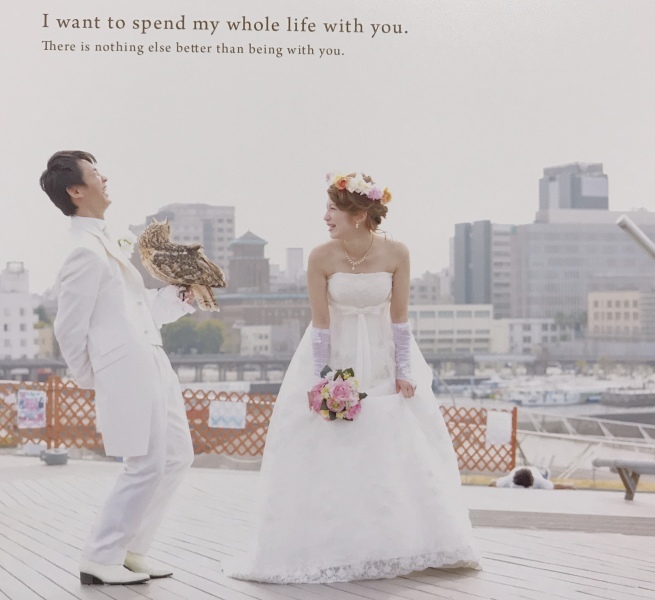 スタッフの方達の対応がとても素敵でした。_159_投稿写真_3