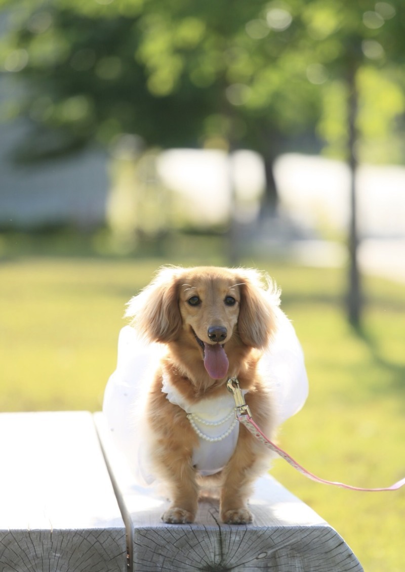 THE GRIGHT_投稿写真