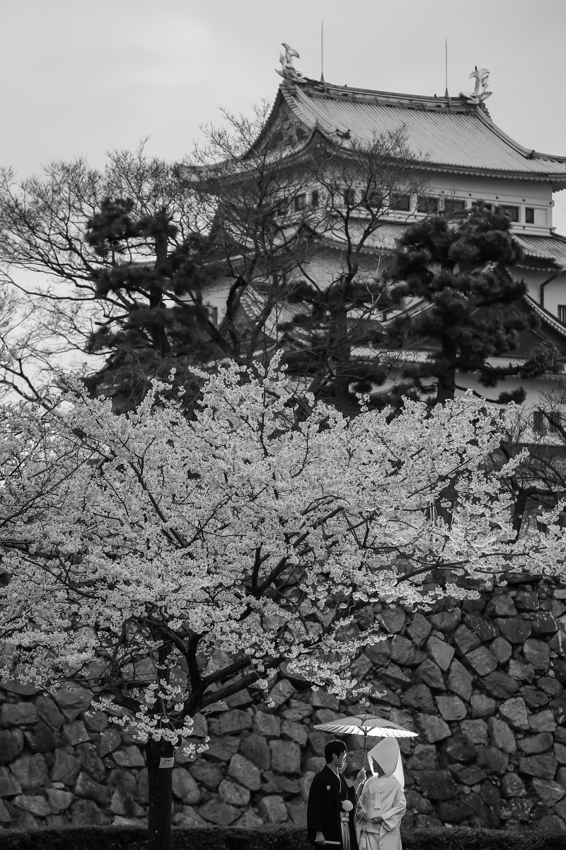 THE HARVEST(名古屋) _投稿写真