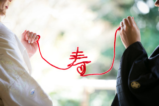 Vivid_アドバイス写真