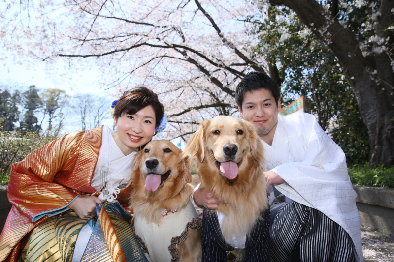 フォトスタジオラヴュー本店_投稿写真