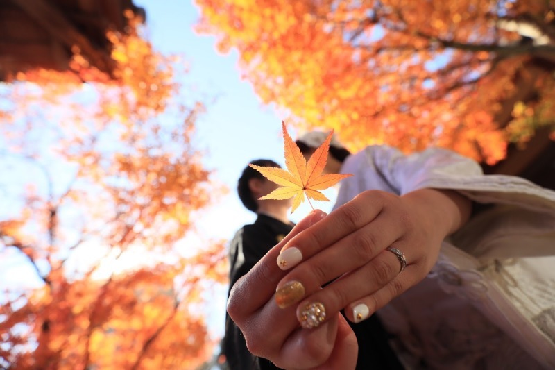 B-PLACE BiB(ビッビ)_投稿写真