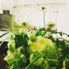 STUDIO TVB 神戸ハーバーランド店（スタジオTVB）_アドバイス写真