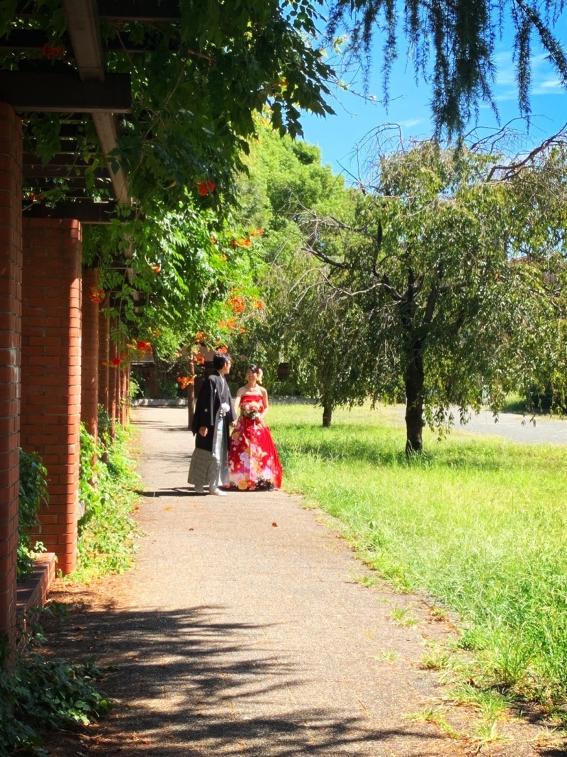 最後にもう一回振袖が着たい！_7002_投稿写真_1