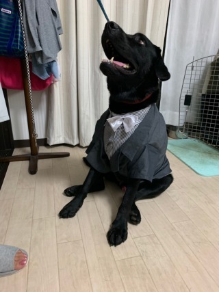 ルミエール北谷サロン_アドバイス写真