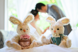 My Style Garden Studio _アドバイス写真