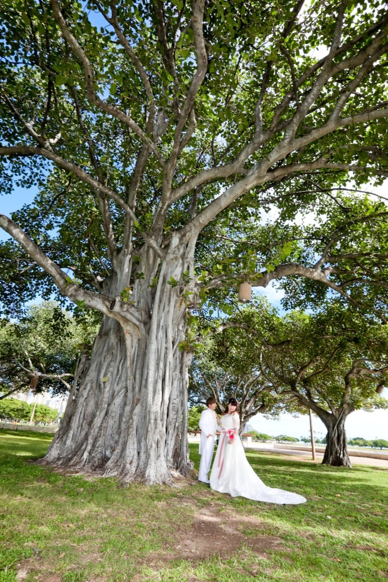 AMERICAN HOLIDAYS_投稿写真