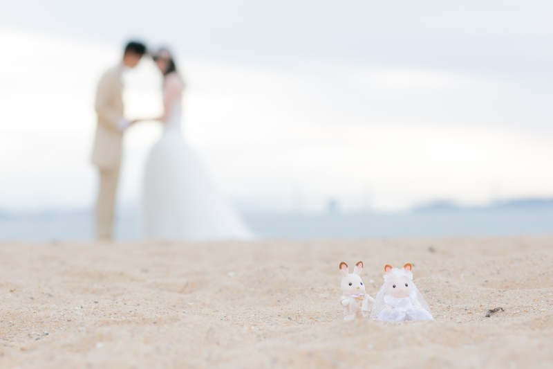 フレンドリーなスタッフさんと楽しく撮影できます_7273_投稿写真_1