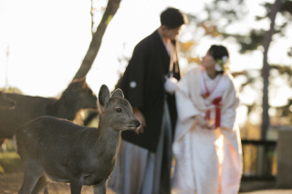 STUDIO TVB 奈良店（スタジオTVB）_アドバイス写真