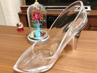 studio LUMINOUS お台場_アドバイス写真