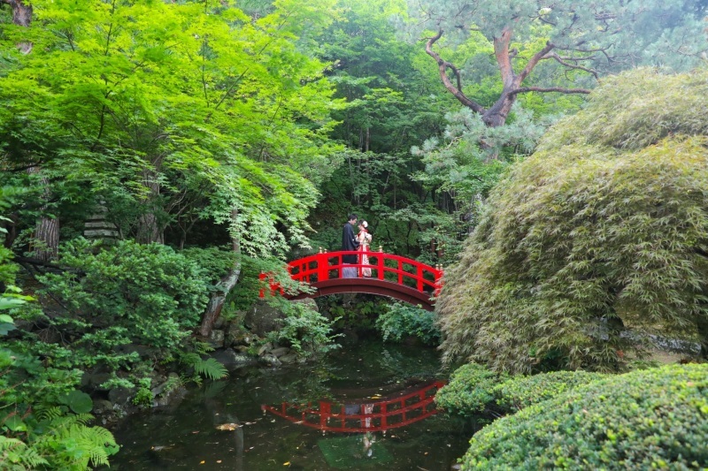 Photo Studio Lily_投稿写真