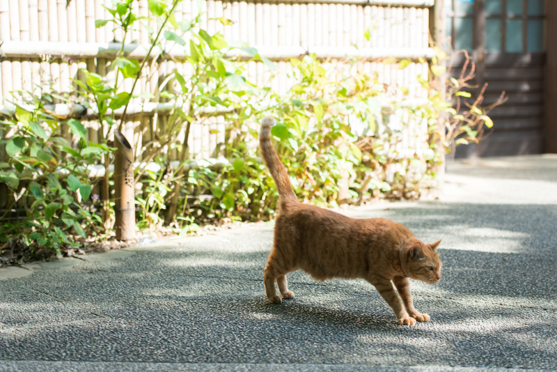 ラヴィファクトリー横浜店_投稿写真