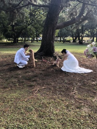 Vivid_アドバイス写真