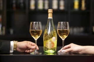 ヴィラ・アンジェリカ_アドバイス写真