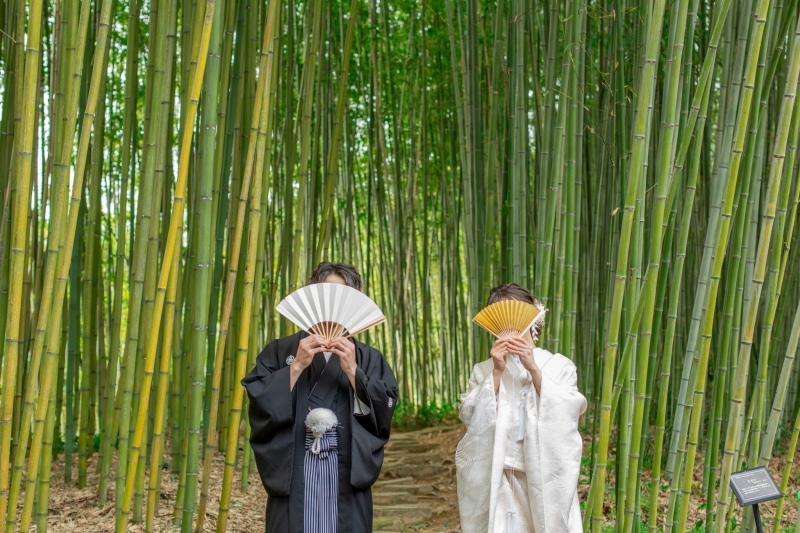京都 あざらし堂 ー写真部ー_投稿写真