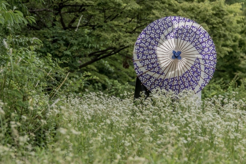 コスパ重視の前撮り_7981_投稿写真_1