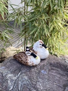 華雅苑　千葉店_アドバイス写真