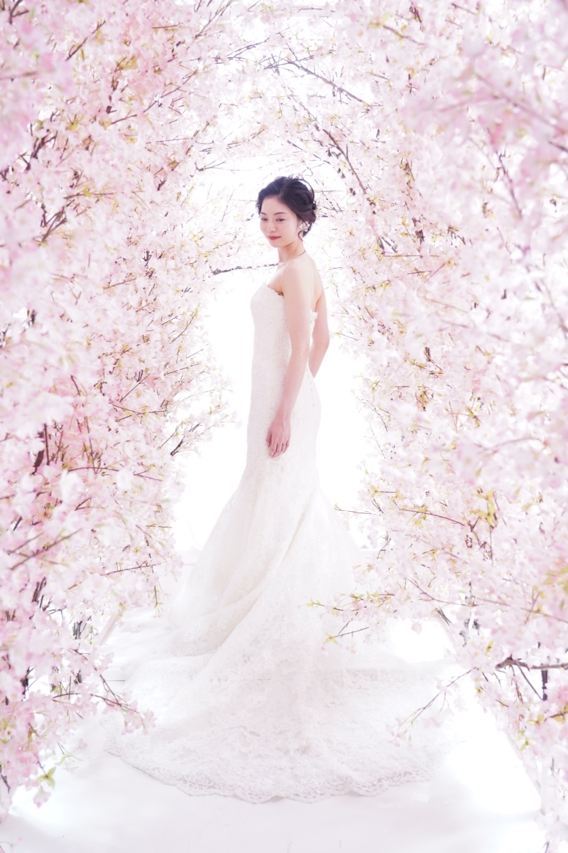 studio LUMINOUS お台場_投稿写真