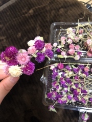 阿部写真館　大阪本町靭公園前店_アドバイス写真