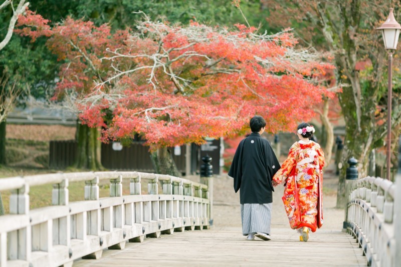奈良ならでは〜鹿と一緒に〜_8152_投稿写真_2