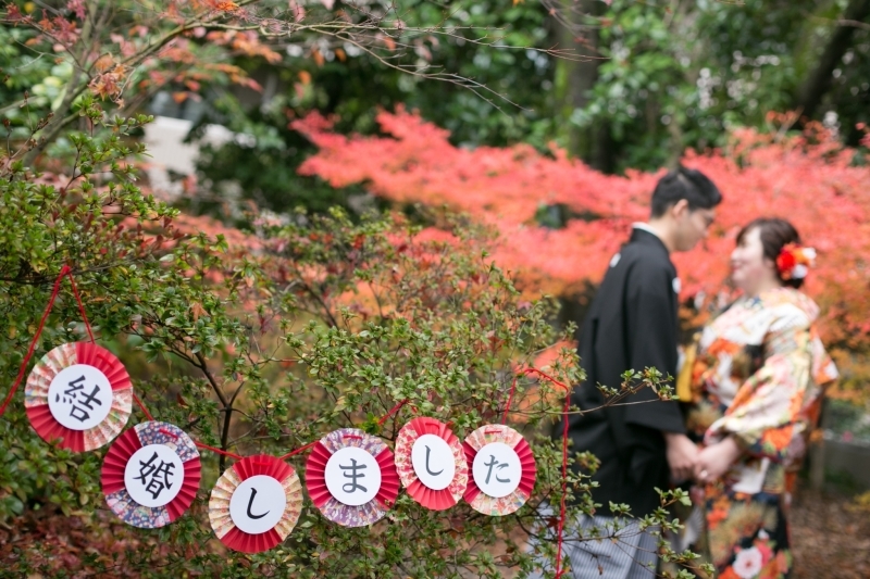 京都 あざらし堂 ー写真部ー_投稿写真