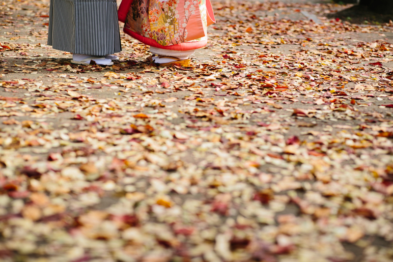 古都photo_投稿写真