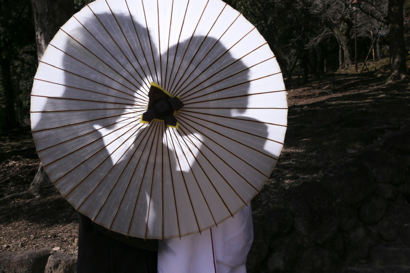 奈良ロケーション撮影、コスパで決めるならココ！_8690_投稿写真_2