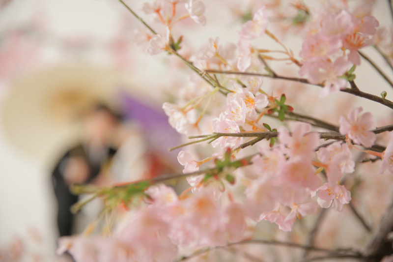 STUDIO TVB 神戸ハーバーランド店（スタジオTVB）_投稿写真