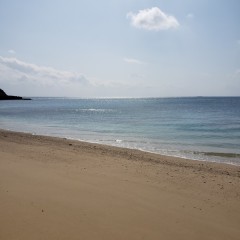 フリーダムウェディングステージ沖縄_アドバイス写真