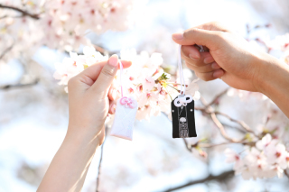 Wedding Story 市川店_アドバイス写真