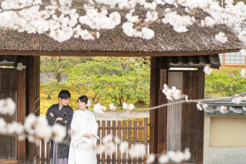 京都好日_投稿写真