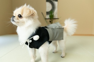 Swing Photography【営業終了】_アドバイス写真