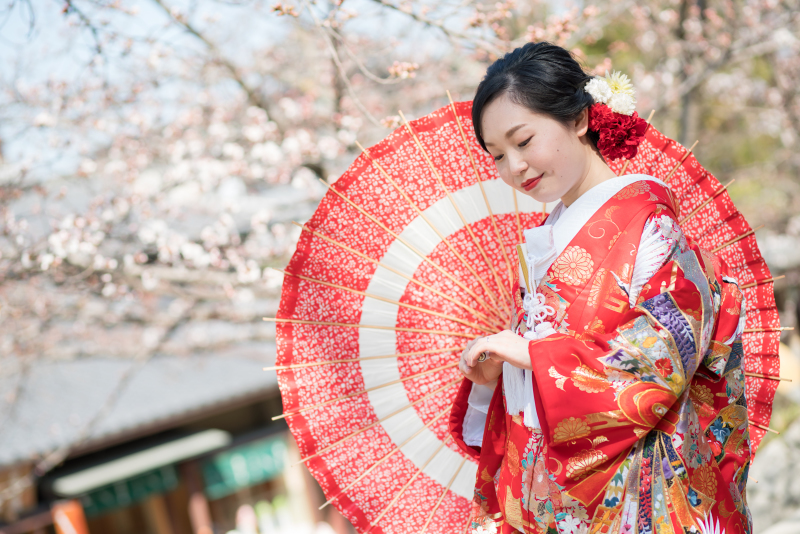 京都好日_投稿写真