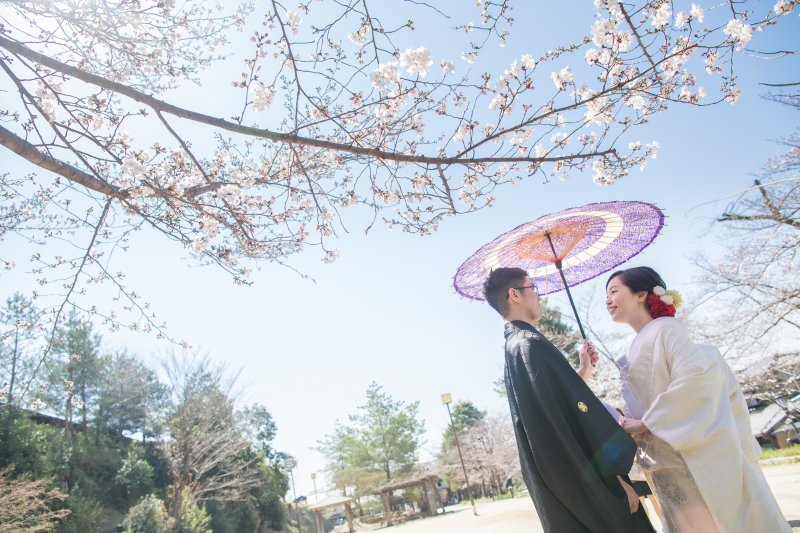 京都好日_投稿写真