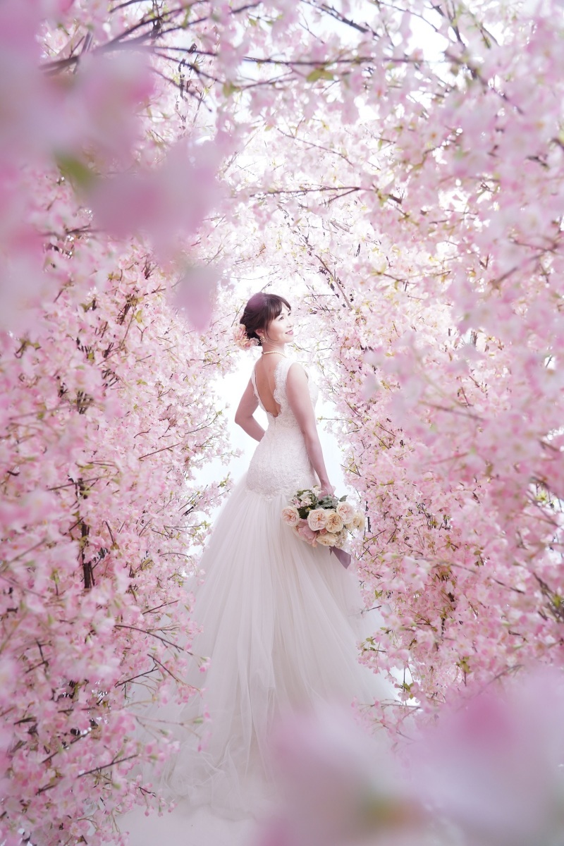 studio LUMINOUS お台場_投稿写真