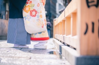 ハルウェディング_アドバイス写真