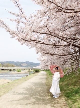 ハルウェディング_アドバイス写真